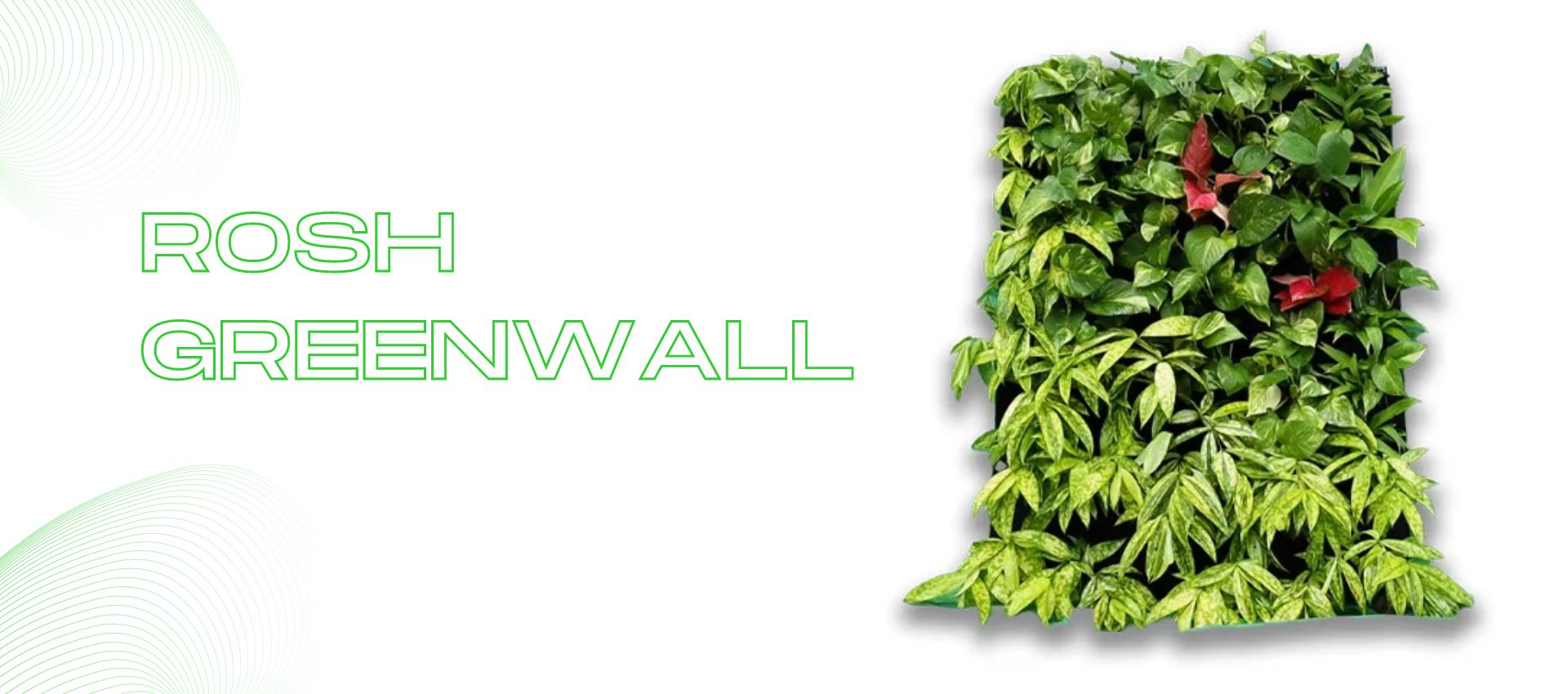 Rosh_Greenwall-laptop-img1